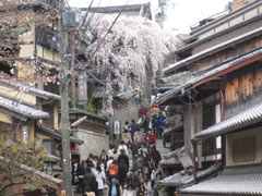 kyoto05.jpg