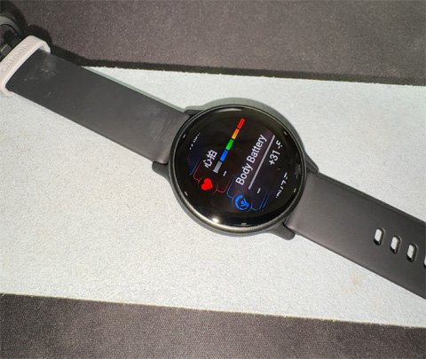 vivo02.jpg