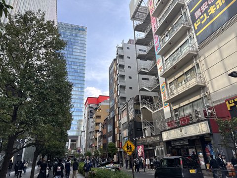 akihabara.jpg